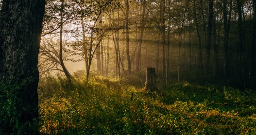 Escape From Manhattan to the DeBruce, a Restored Catskills Hideaway